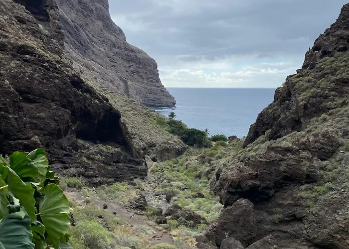 Sea View Terrace In Americas Appartement