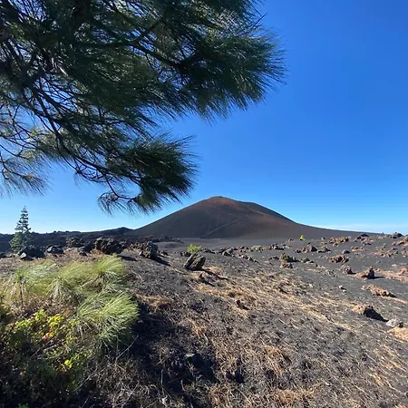 דירה Sea View Terrace In Americas *